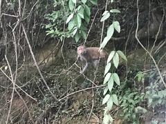 -广西龙虎山风景区