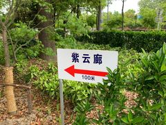 -嘉定紫藤园