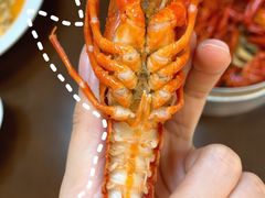 -怪怪龙虾·来自江苏盱眙(惊驾路店)