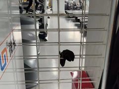 -超鹿运动(融侨锦江店)