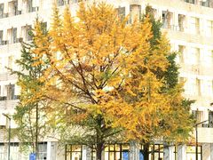 -西南交通大学(九里校区)