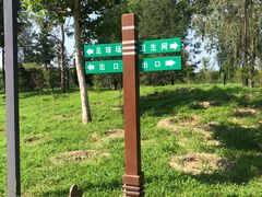 -老君堂公园