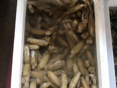 -南戴河海滨市场