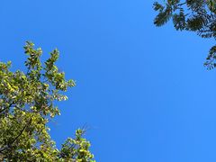 -东莞市大岭山森林公园