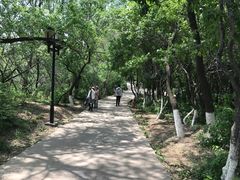 -高尔山公园