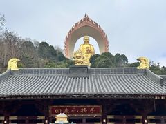 -庐山风景名胜区-东林大佛