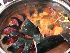 -弘烨 贵州酸汤 鱼火锅(东财店)