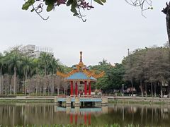 -金砂公园