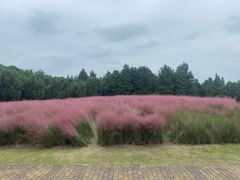 -同里国家湿地公园