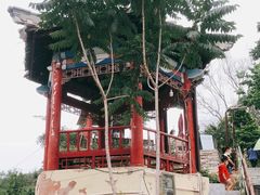-双新垂钓园