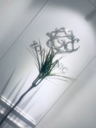 -紫御国际抗衰ZOE ANTI AGING