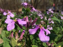 -西湖风景区-江洋畈生态公园