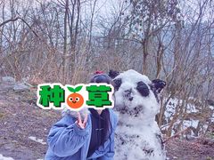 -九峰山
