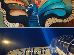 -班达拉奈克国际机场