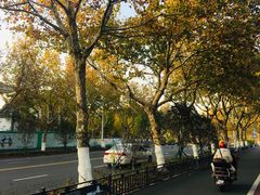 -东湖景区