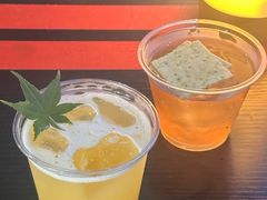 -育音堂音乐公园