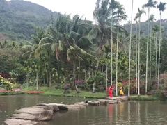 -呀诺达热带雨林
