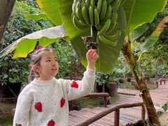 -呀路古热带植物园