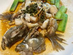 鲜花椒蒸桂花鲈-猪肉婆私房菜(容桂总店)