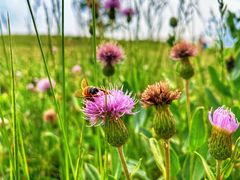 -潭柘厚院&山顶烤肉(潭柘寺店)