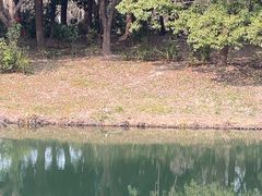 -昆山城市生态森林公园