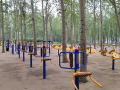 -森林公园(尖草坪区)