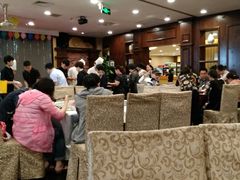 -紫阳富豪大酒店(惠南店)
