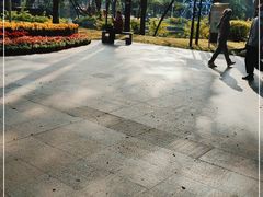 -晓港公园