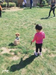 -萌宠亲子动物乐园(槐房万达店)