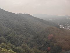 -灵顺寺