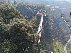 -梦幻奥陶纪景区