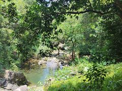 -梧桐山风景名胜区