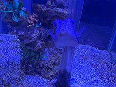 -太平洋海底世界