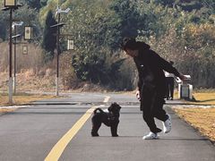 -观象山公园