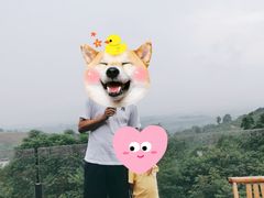 -远山有窑