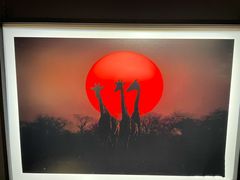 -罗红摄影艺术馆