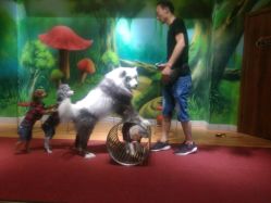 -未来动物城主题公园(正弘城店)