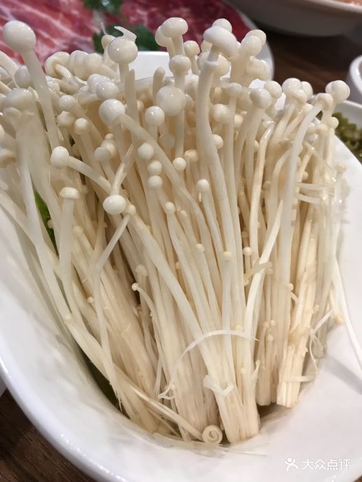 重庆潮火锅(南坪百盛店)-金针菇-菜-金针菇图片-重庆美食-大众点评网