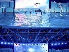 -海合安青岛极地海洋公园