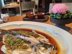 -宁波柏悦酒店·钱湖渔港