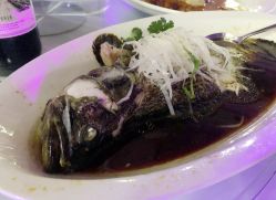 -北京嘉里大酒店·宴会厅婚宴·户外婚礼·生日宴