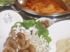 -大龙燚火锅(南山大道店)