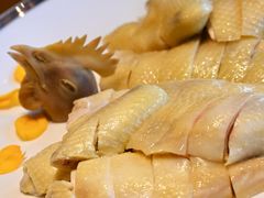 -广州富力君悦大酒店空中花园