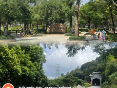 -顺峰山公园