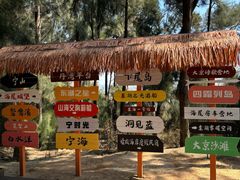 -大京沙滩