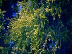 -白鹭湾湿地公园