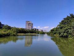 -金山公园