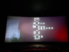 -新影联·华谊兄弟影院(望京店)