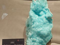 -中华赏石园