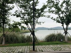 -东湖落雁景区